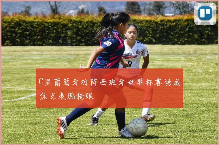 C罗葡萄牙对阵西班牙世界杯赛场成焦点表现抢眼